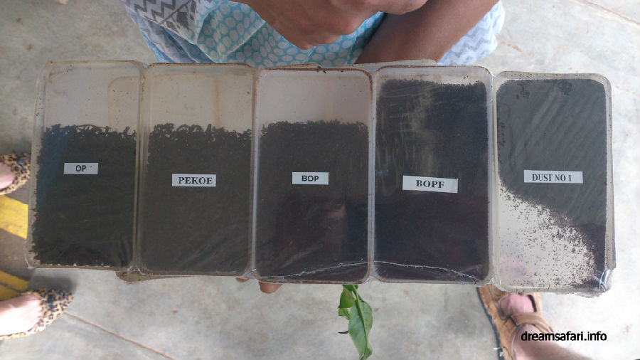Black Tea Black Tea