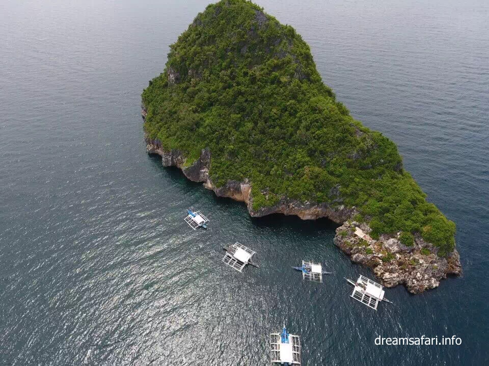 Gato Island