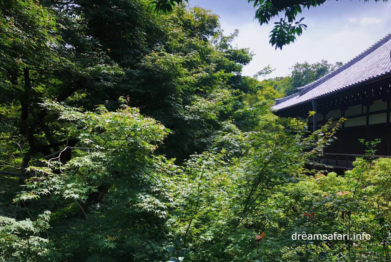 东福寺 东福寺