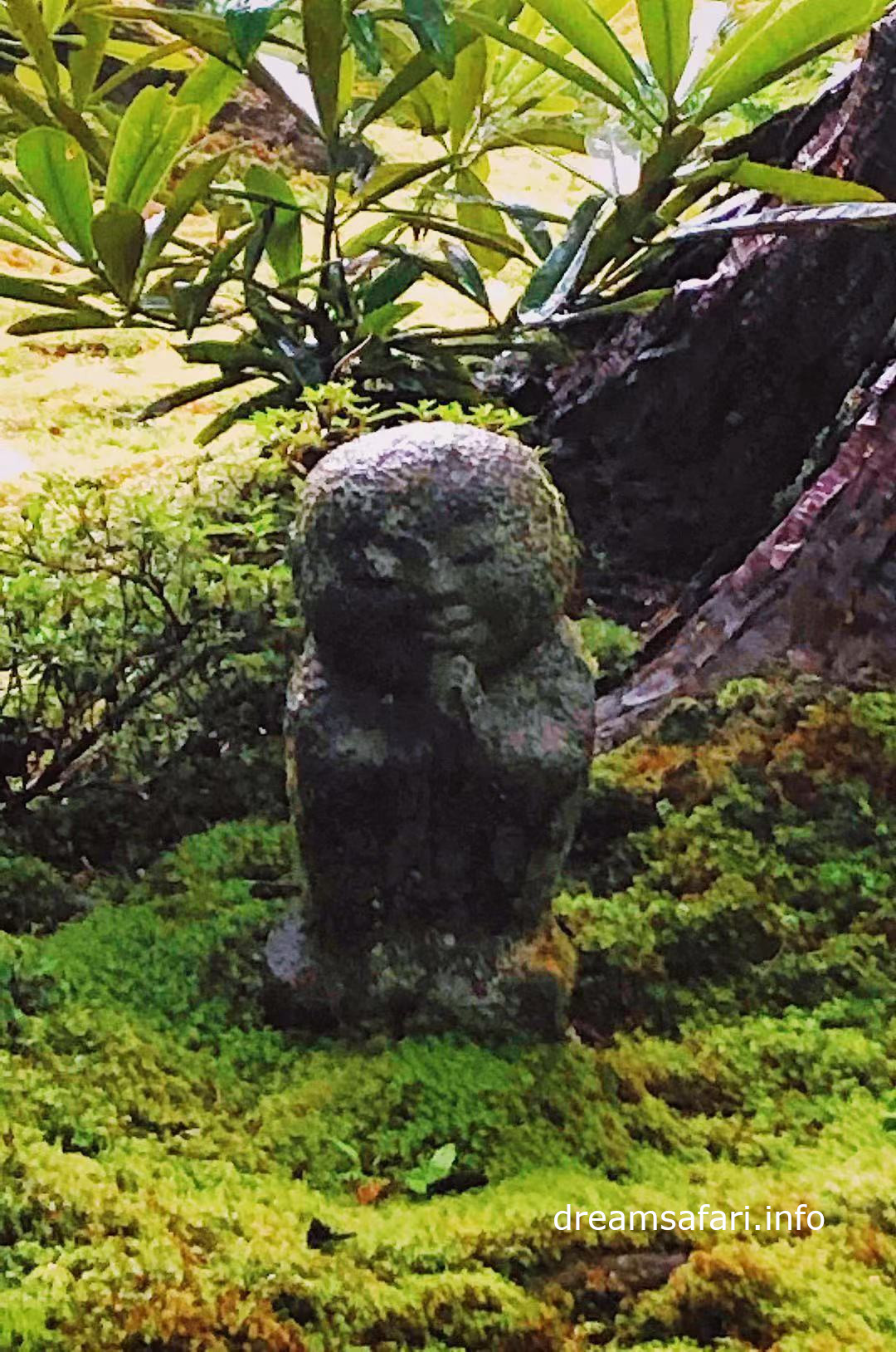 三千院 三千院