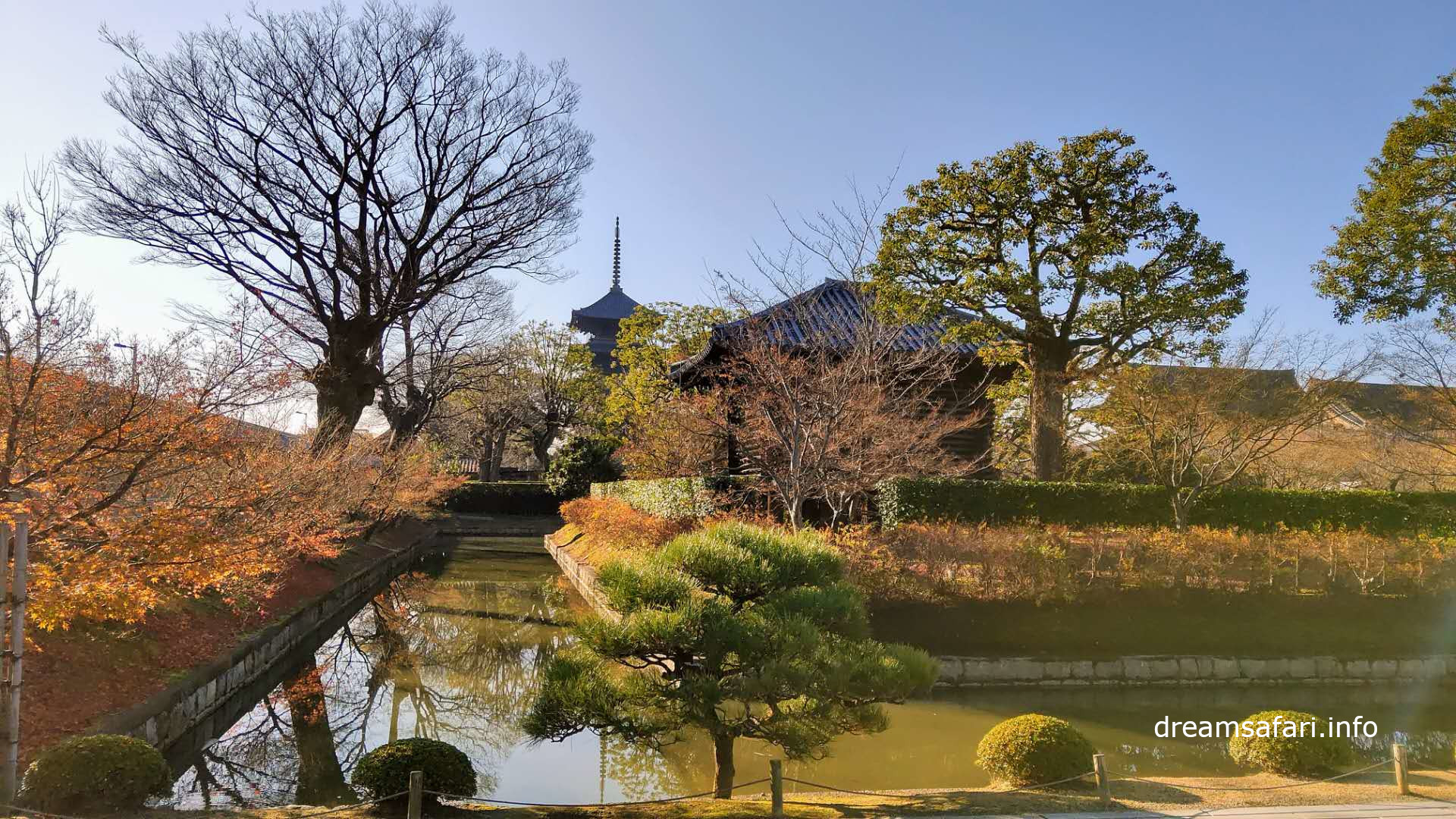 东寺 东寺